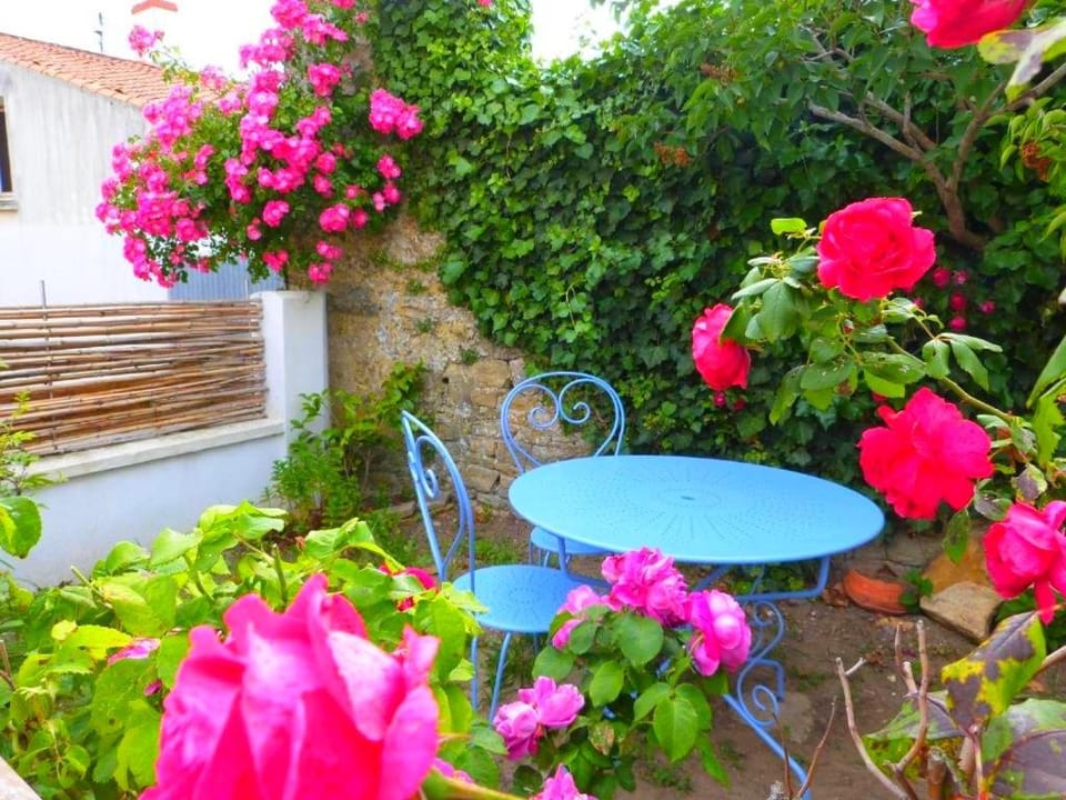 La Talmondaise - Maison chaleureuse pour vos vacances ! House in Talmont-Saint-Hilaire