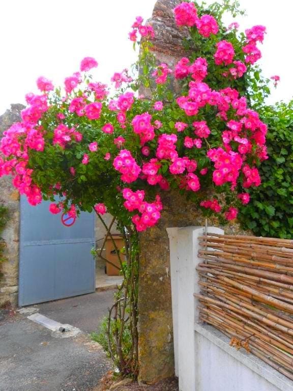 La Talmondaise - Maison chaleureuse pour vos vacances ! House in Talmont-Saint-Hilaire