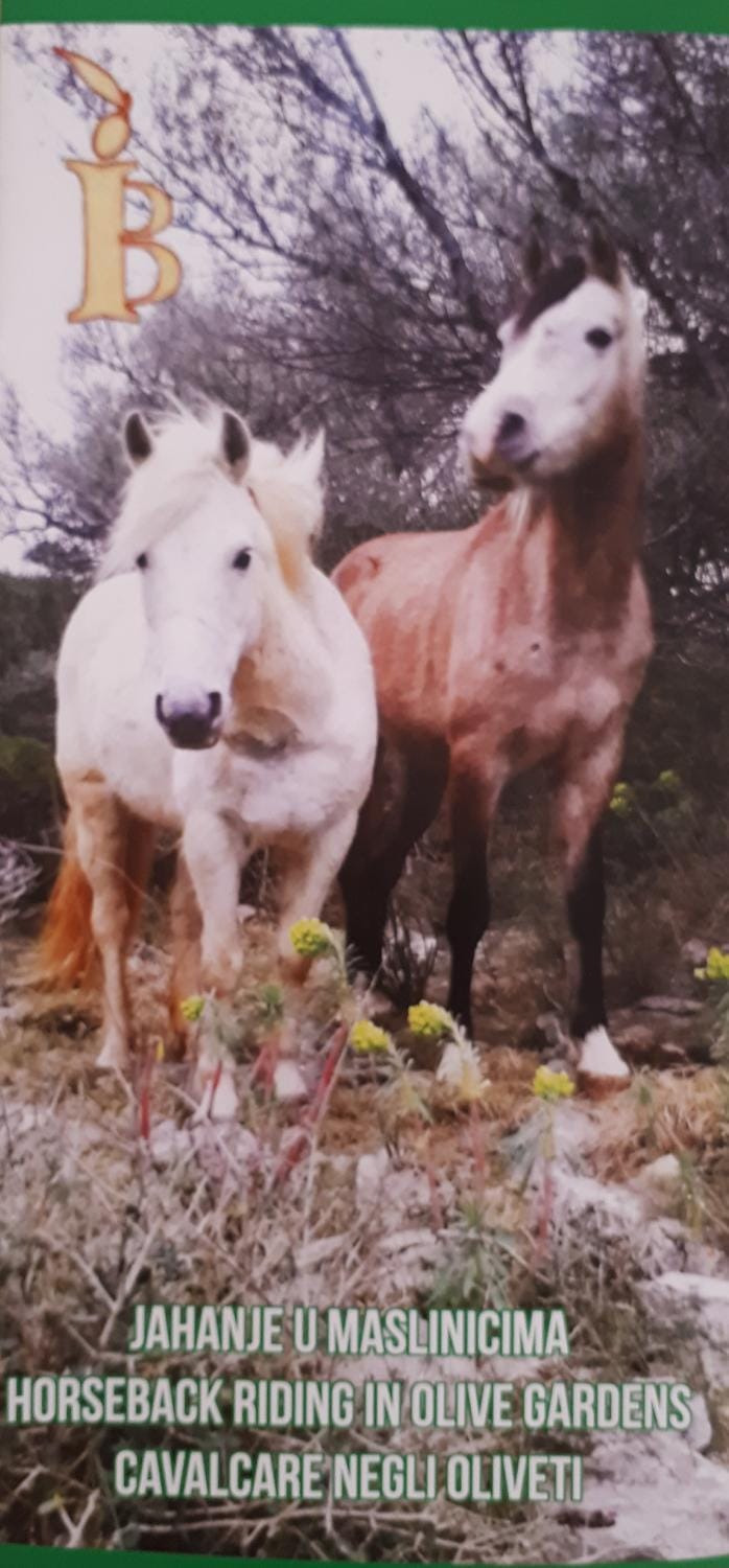 Off site, Horse-riding