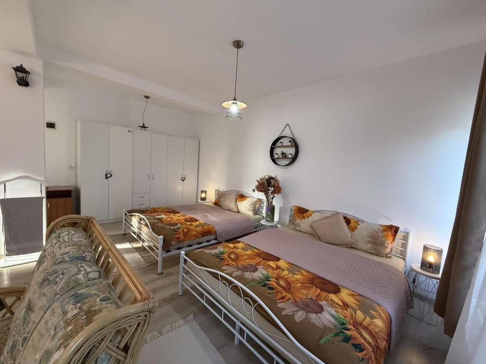 Tina Guest House Hotel in Dolj County, Romania