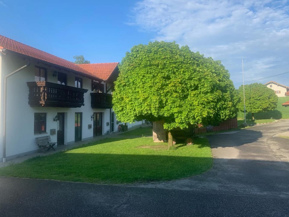 Property building, Garden