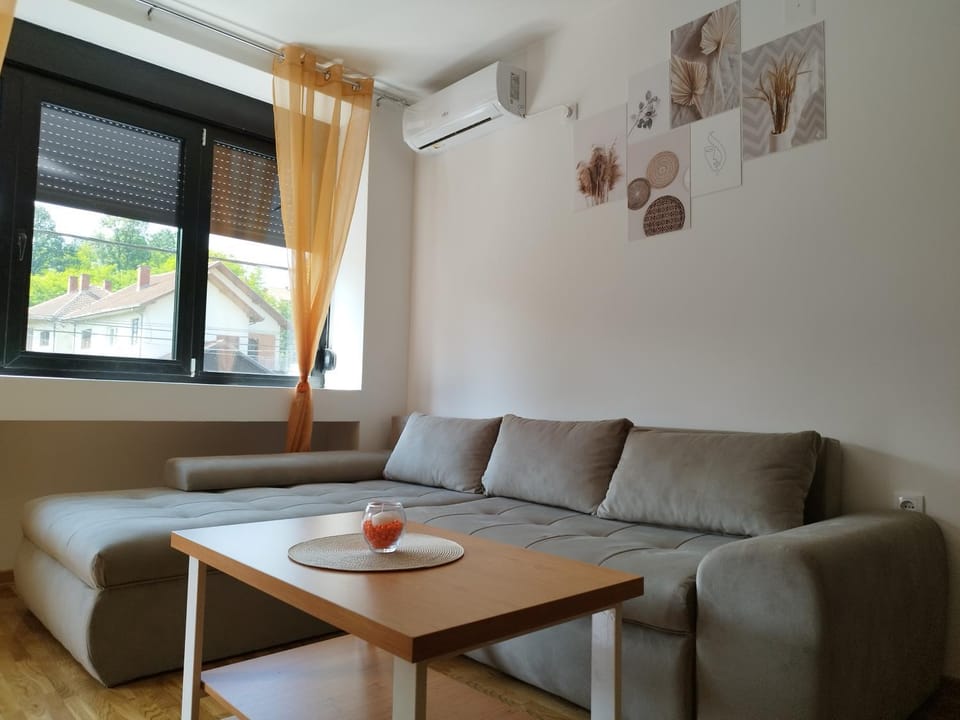 Apartman Andjelika Vrnjacka Banja Apartment in Serbia