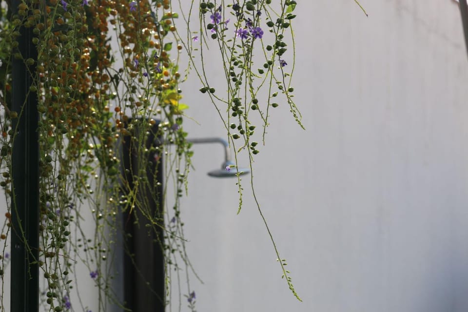 Shower, Garden view