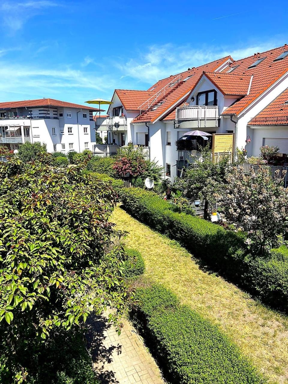 Apartment Studio Green line Apartment in Dresden