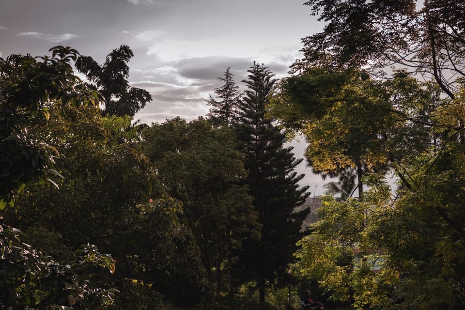 Natural landscape
