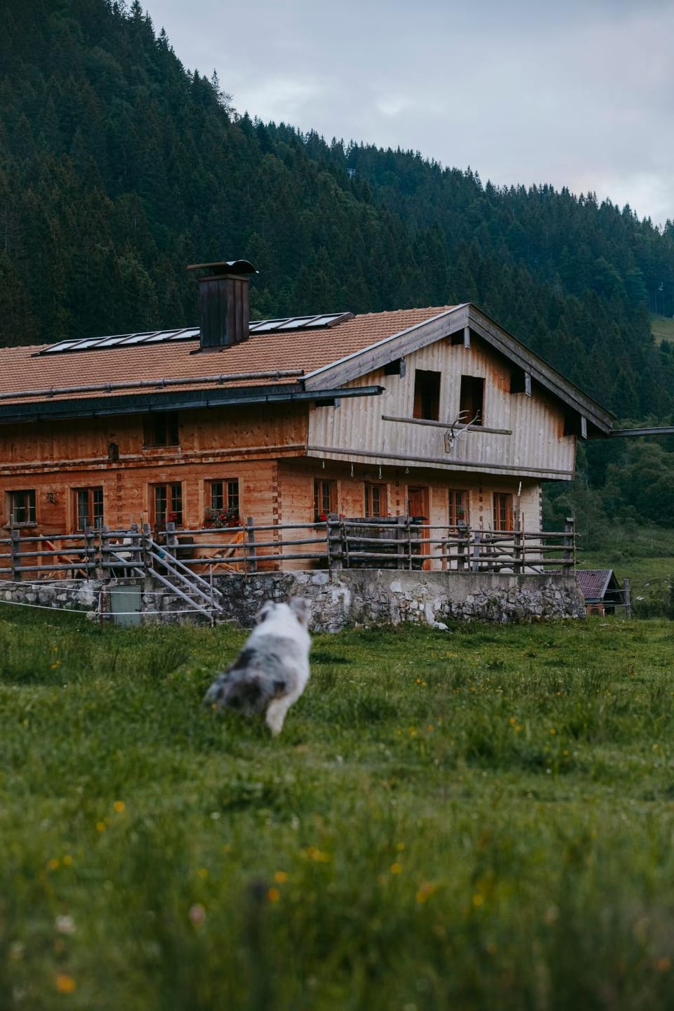 Property building