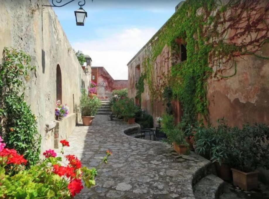 Property building, Spring, Day, Neighbourhood, Garden, Garden view, Street view