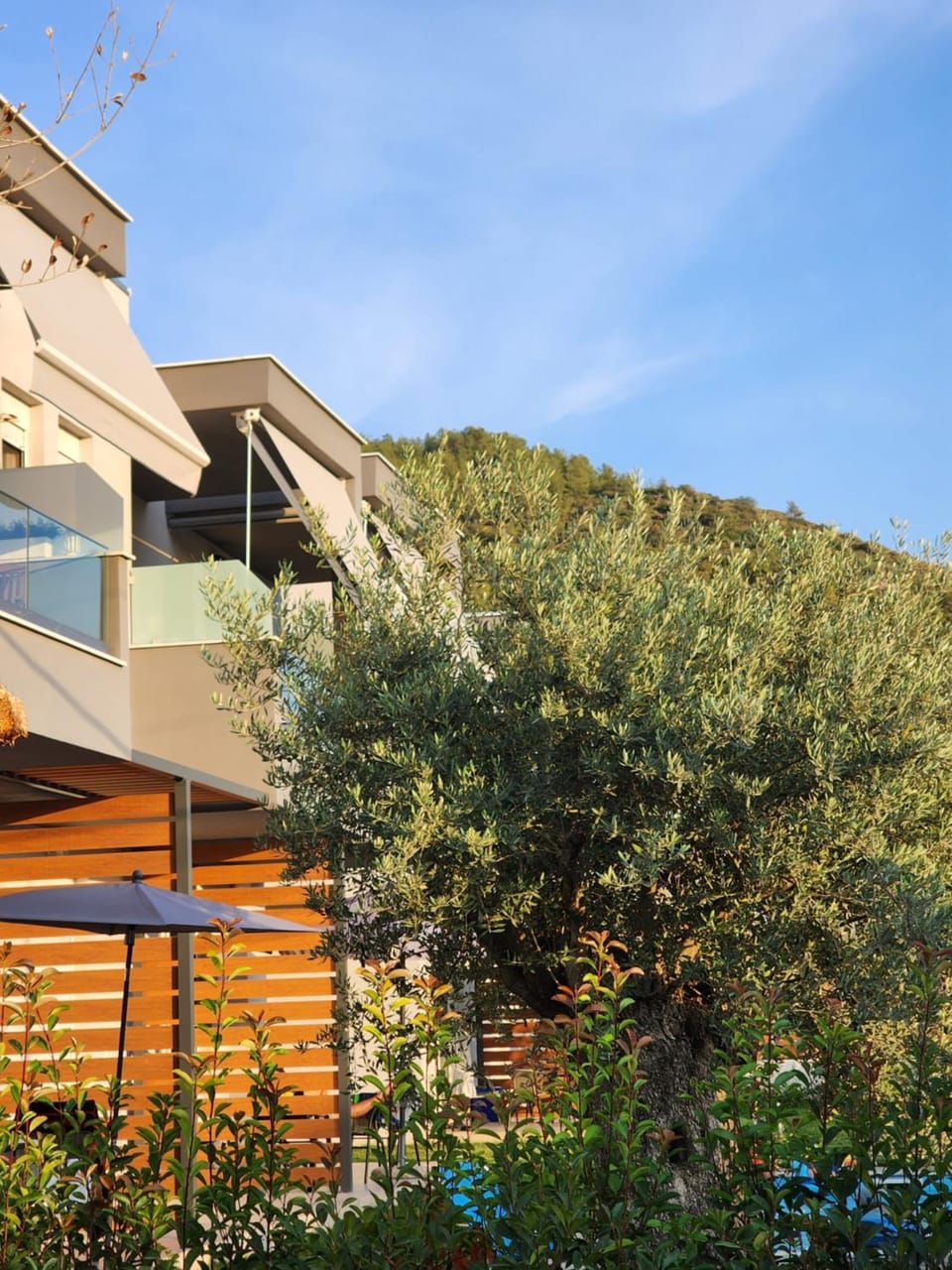 Sol Greco Apartment Apartment in Thasos