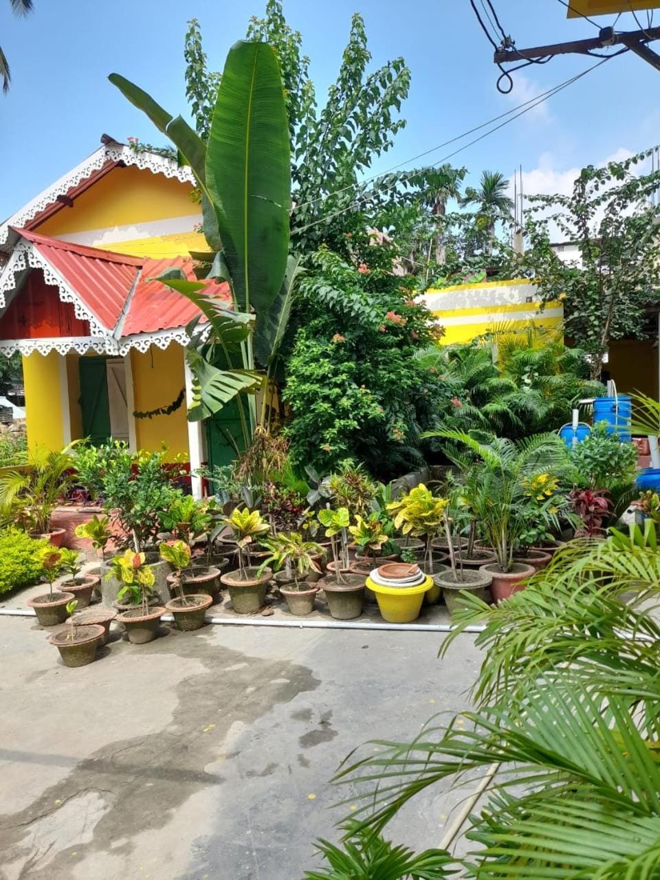 Property building, Garden