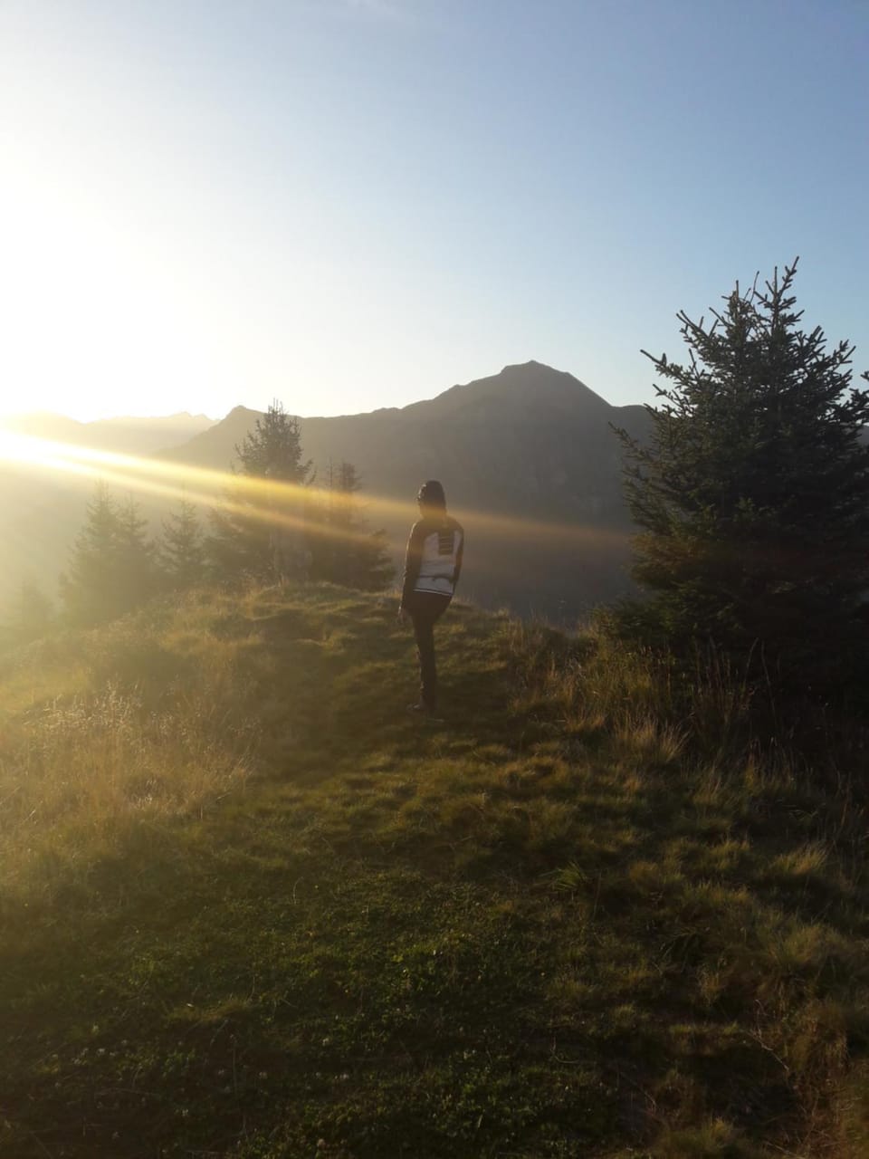 Ferienhaus Luis Apartment in Trentino-South Tyrol