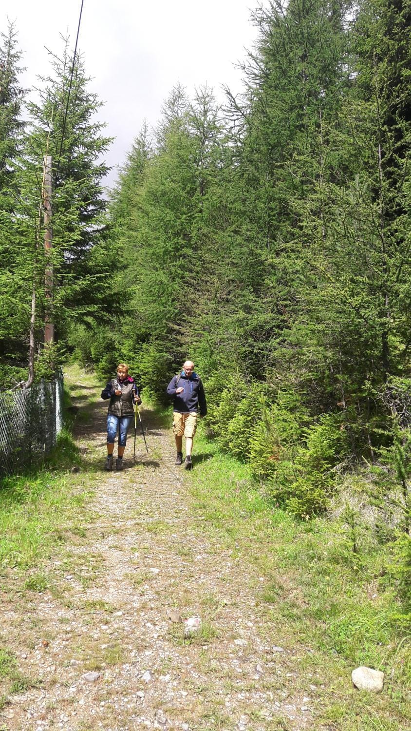 Ferienhaus Luis Apartment in Trentino-South Tyrol