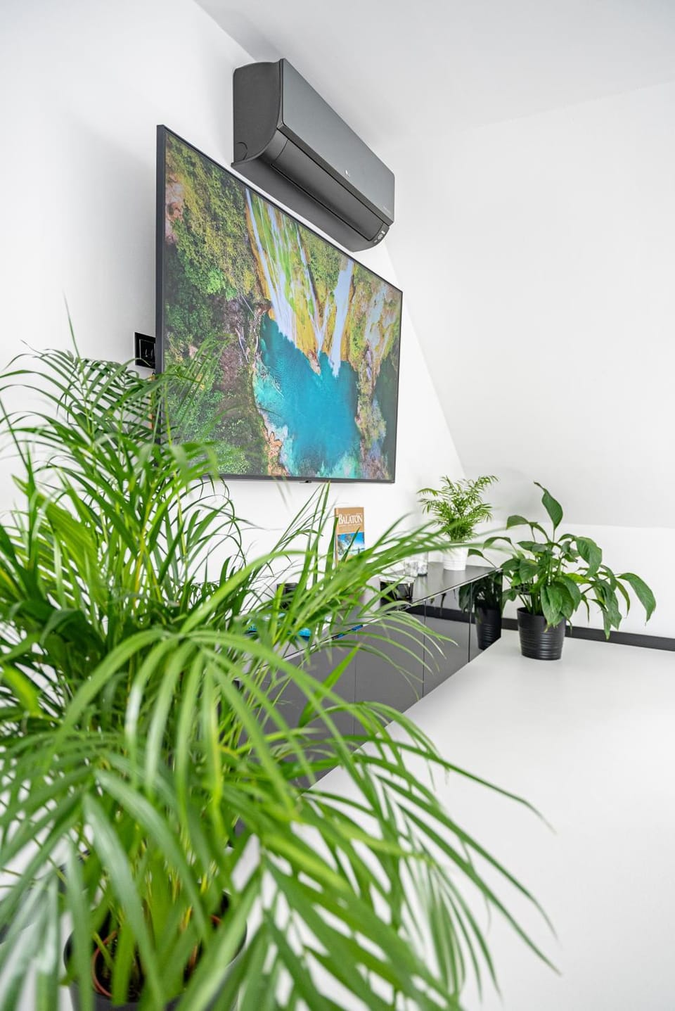 TV and multimedia