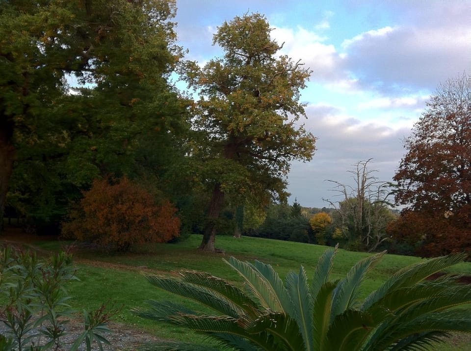La Suite Venise au Château de Saint-André Bed and Breakfast in Pays de la Loire