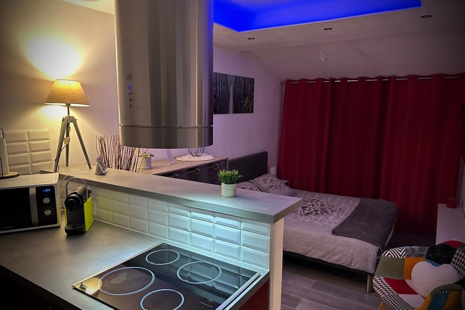 Bed, Kitchen or kitchenette, Photo of the whole room, Bedroom