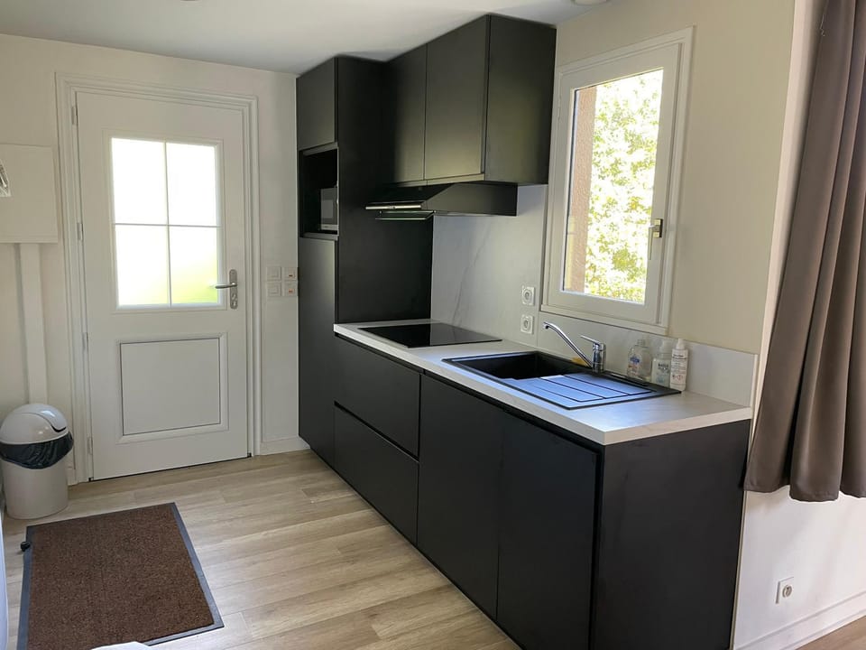 Kitchen or kitchenette, dishwasher, minibar, stove