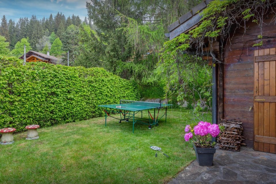 Spring, Day, Natural landscape, Garden, Table tennis, Garden view