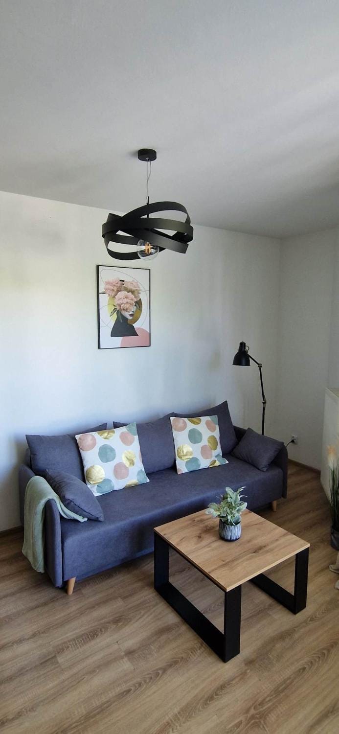 Cosy Apartment w pobliżu Tauron Arena Apartment in Krakow