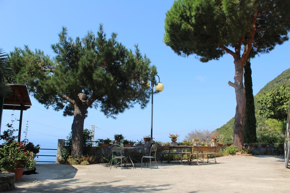 Natural landscape, Sea view