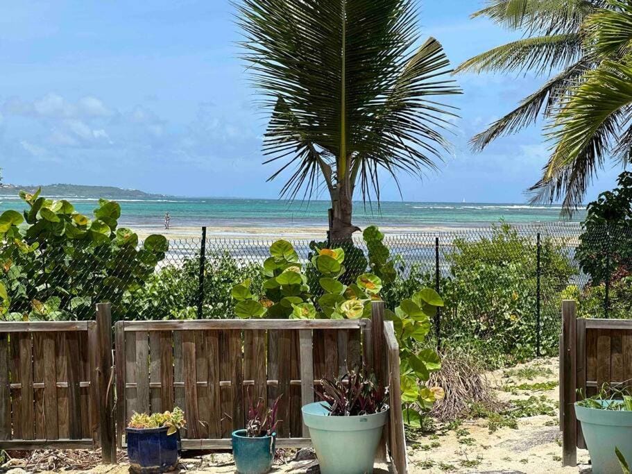 Garden, Beach, Sea view