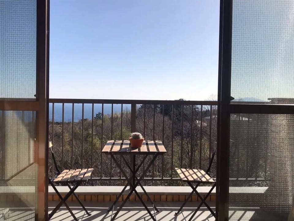 Masaya Villa - Vacation STAY 23210v Bed and Breakfast in Shizuoka Prefecture