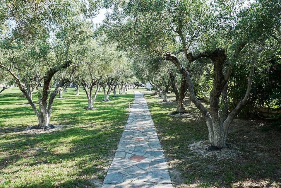 Natural landscape, Garden view