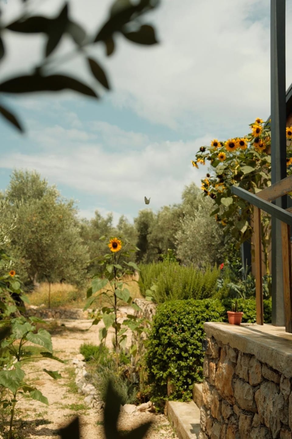 Mawa Cottage House in Ulcinj Municipality