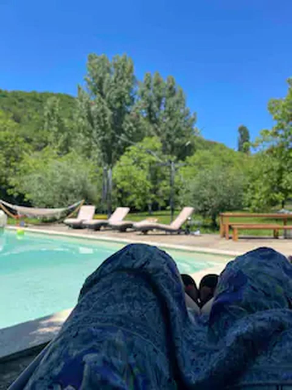 Day, Natural landscape, Garden, Garden view, Pool view, Swimming pool, sunbed