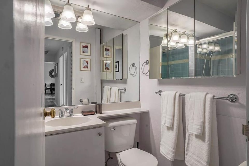 Tranquil 2BR downtown condo, Parking, King bed Apartment in Seattle