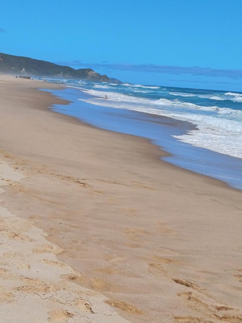 Apollo Bay Ocean View Retreat - Great Ocean Road Apartment in Apollo Bay