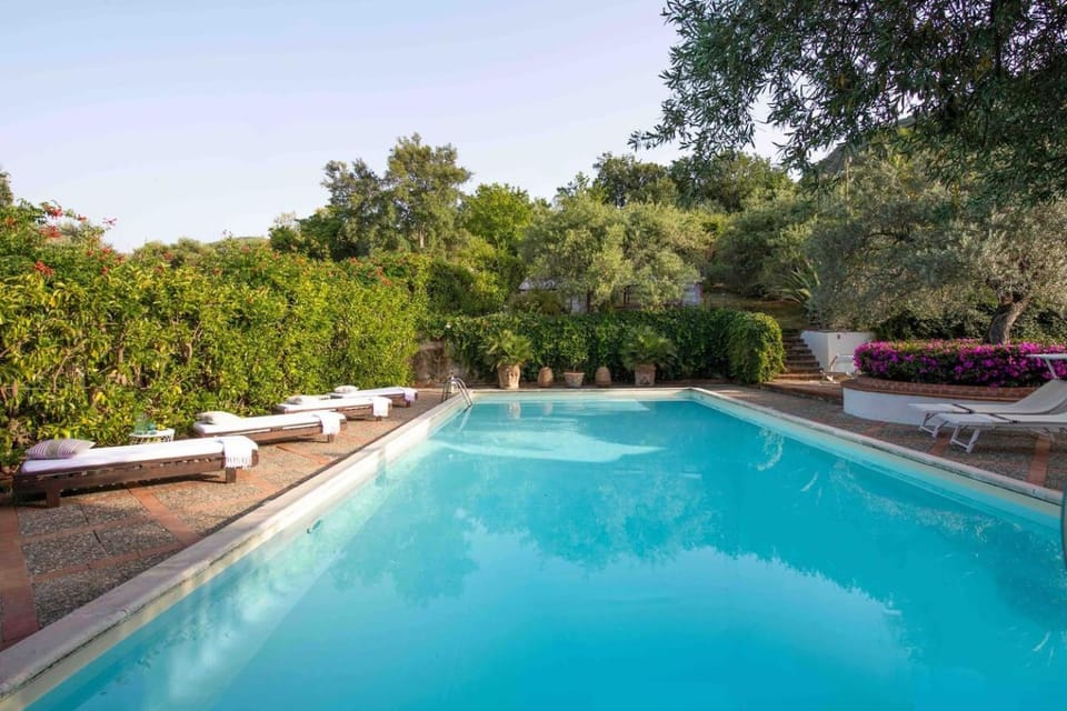 Garden, Garden view, Swimming pool, sunbed