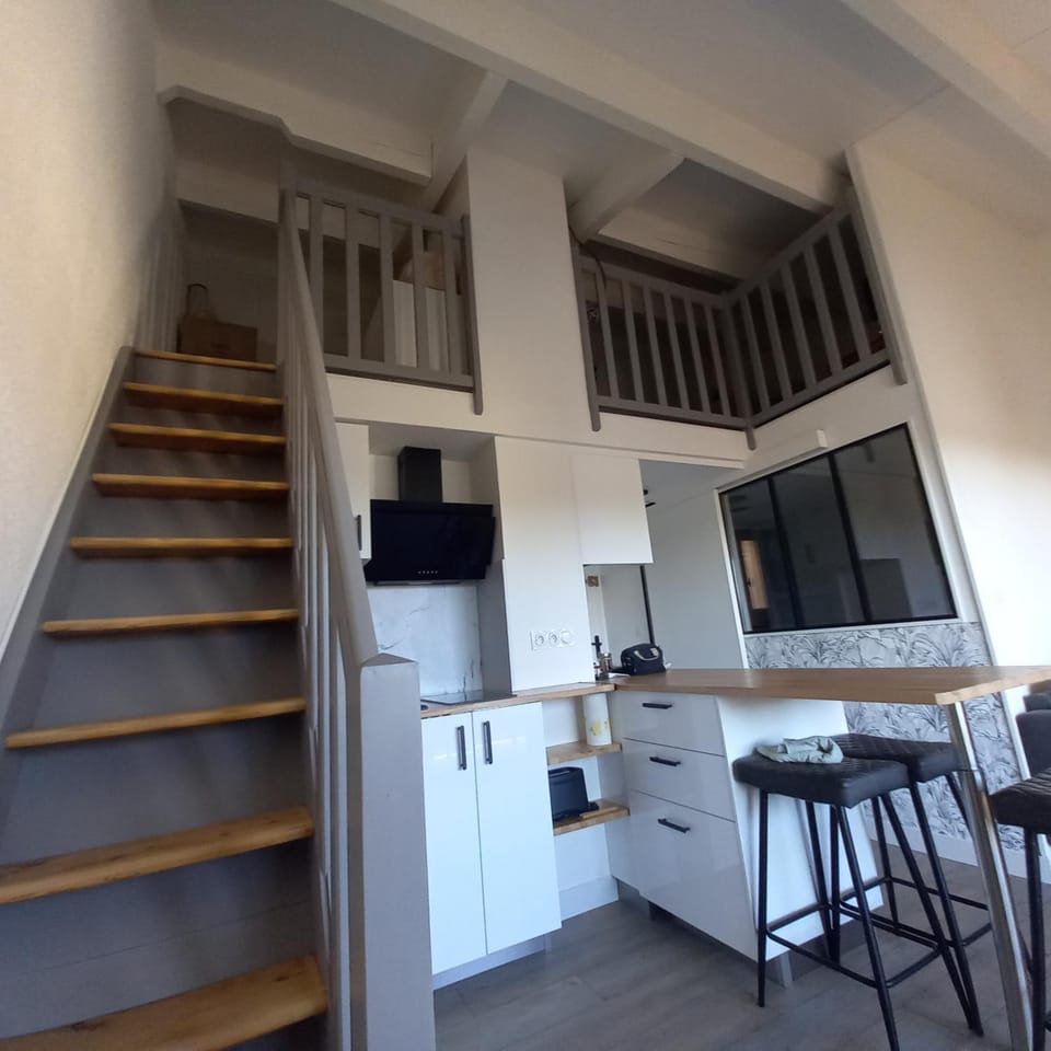 Kitchen or kitchenette, Dining area, oven, stove