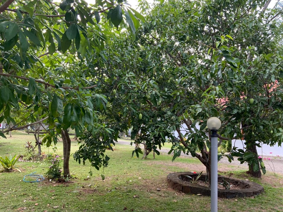 Nature Resort Resort in Sri Lanka