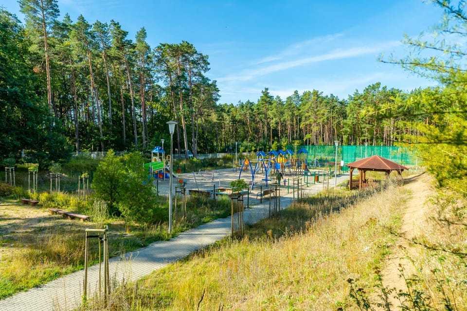 Natural landscape, Garden, Garden view