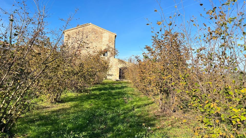 Spring, Natural landscape, Garden view
