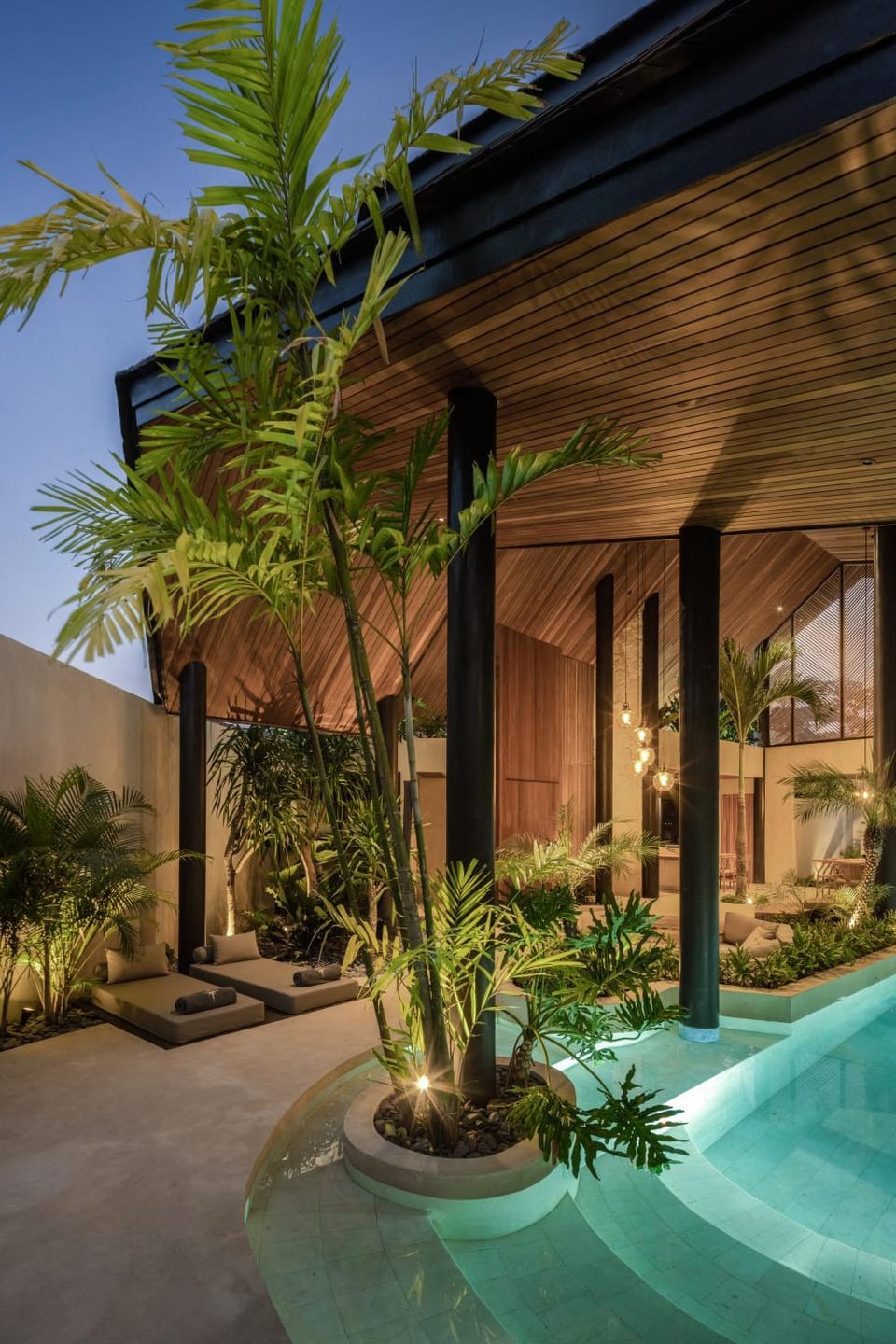 Garden, Garden view, Pool view, Swimming pool, sunbed