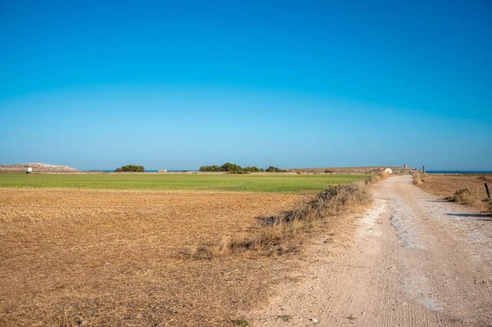 Natural landscape