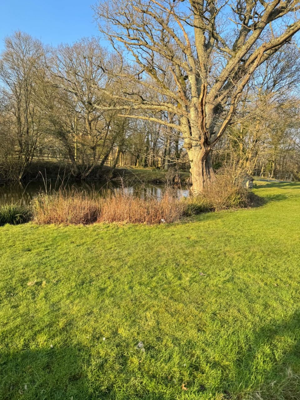 Waters edge Apartment in Rother District