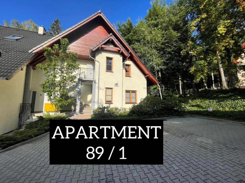 "Apartament pod Śnieżką" uroczy apartament z kominkiem Apartment in Lower Silesian Voivodeship