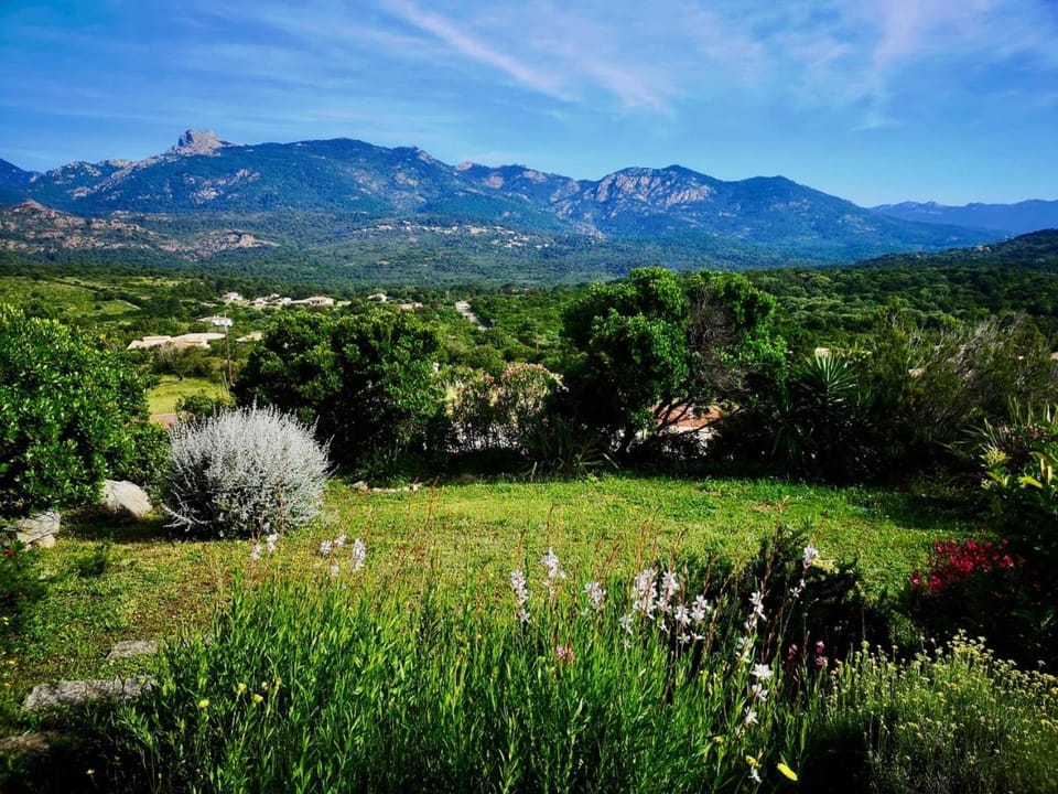 Spring, Natural landscape, Garden view, Mountain view