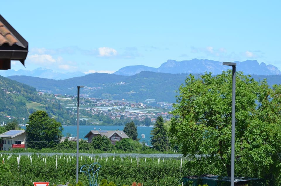 Balcony/Terrace, Lake view