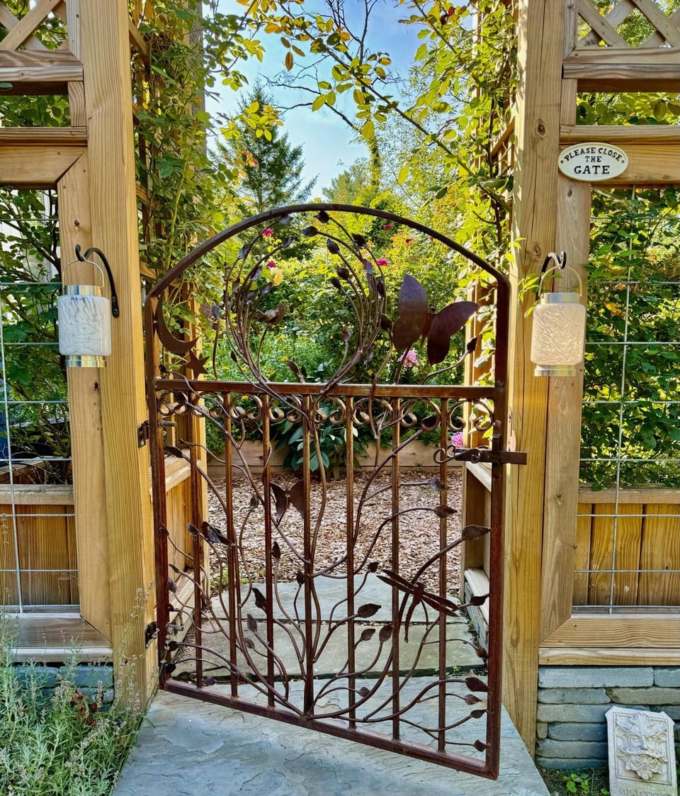 Garden view
