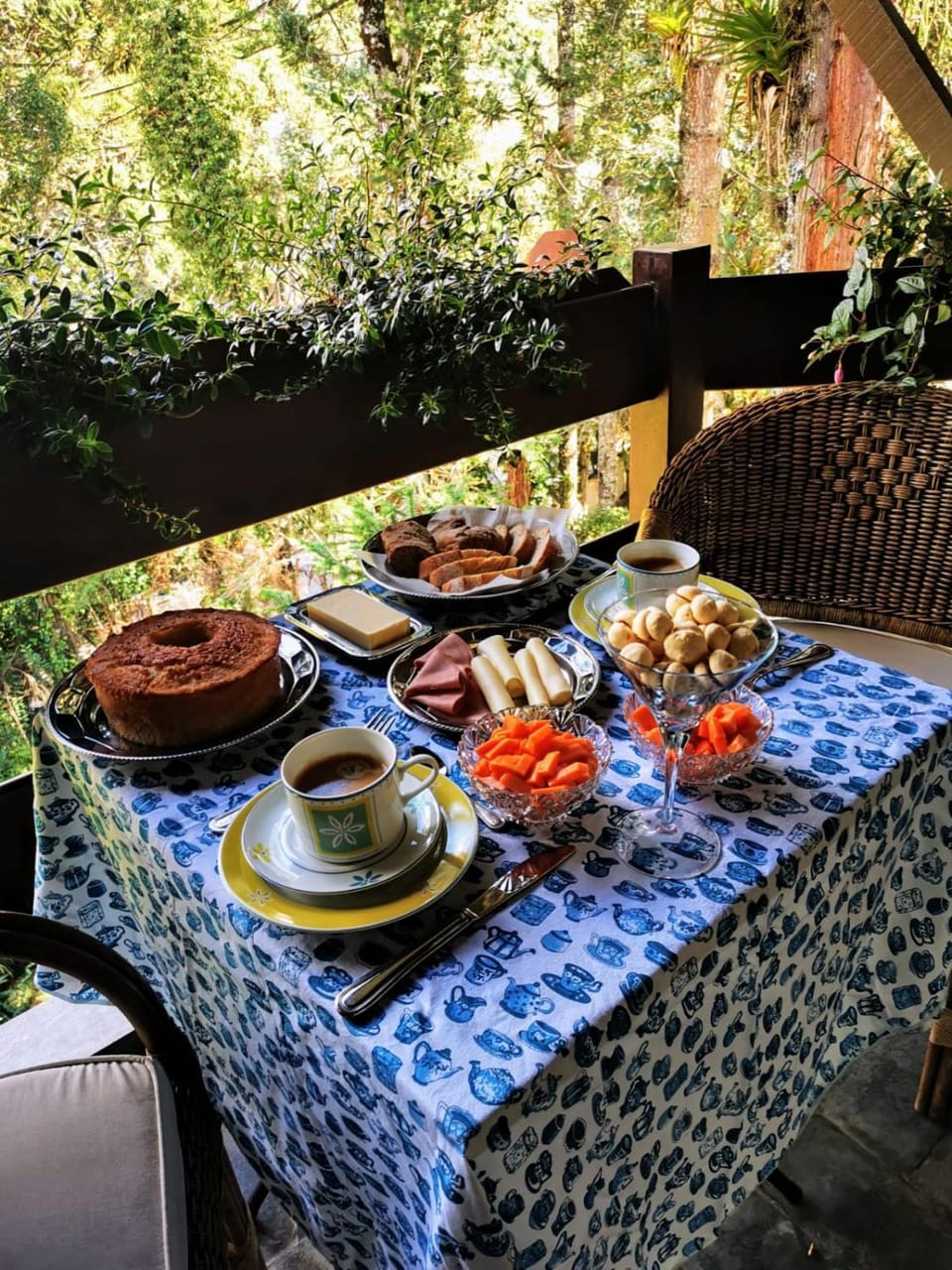 Garden, Balcony/Terrace