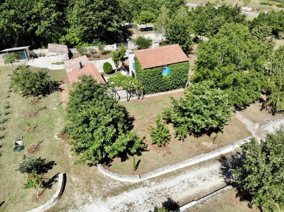 Family-sized renovated Istrian house w/lavand field - 20min from Rovinj. House in Istria County