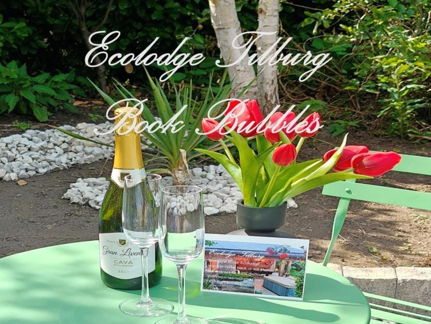 Directors room Swimmingpool Ecolodge Tilburg Vacation rental in Tilburg