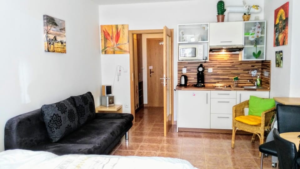 Coffee/tea facilities, Kitchen or kitchenette, minibar, stove