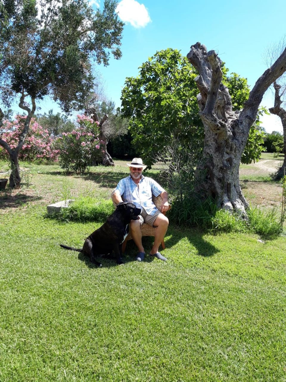 Cottage La Roccia Bed and Breakfast in Apulia