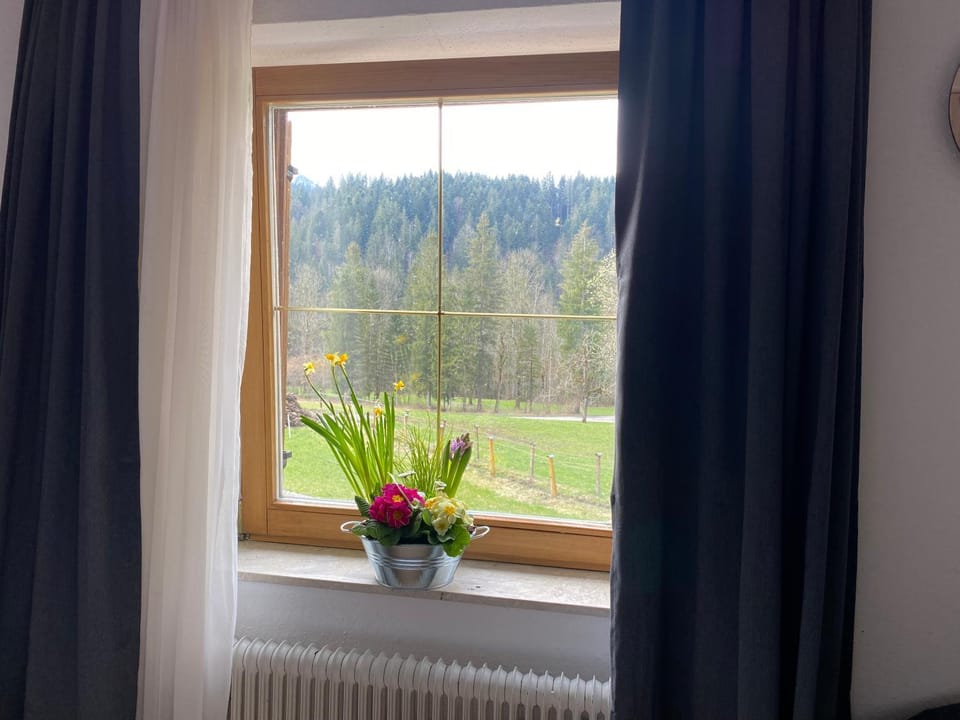 View (from property/room), Mountain view, Mountain view