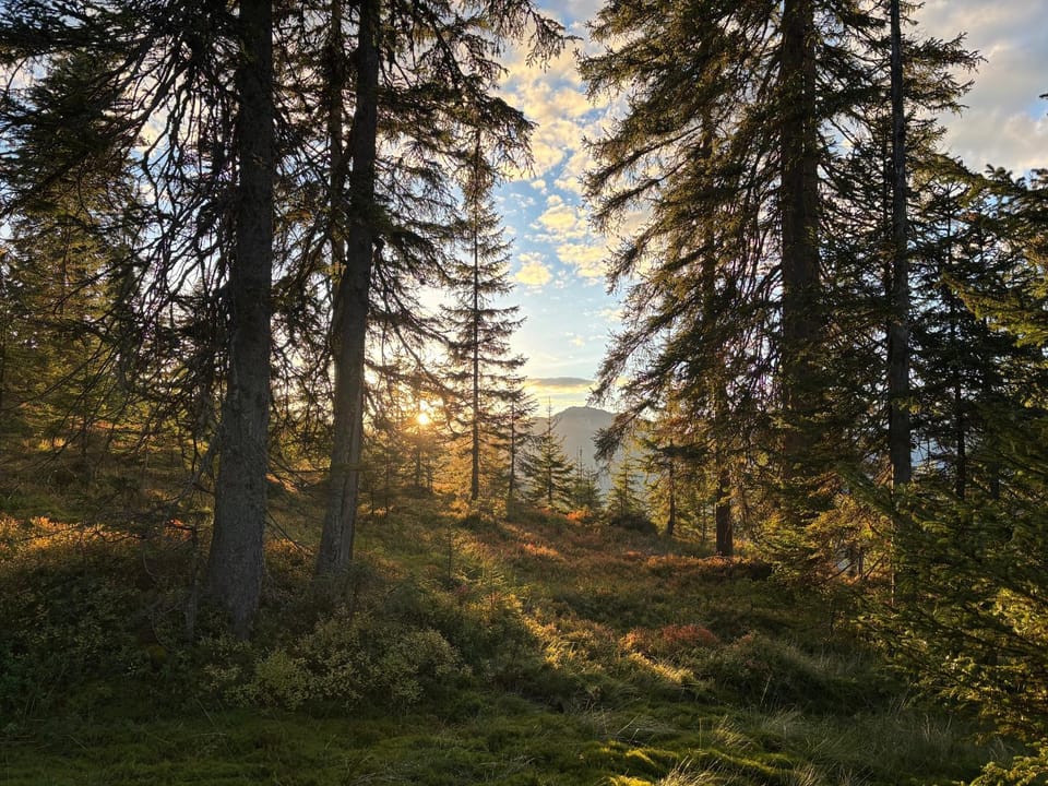 Natural landscape