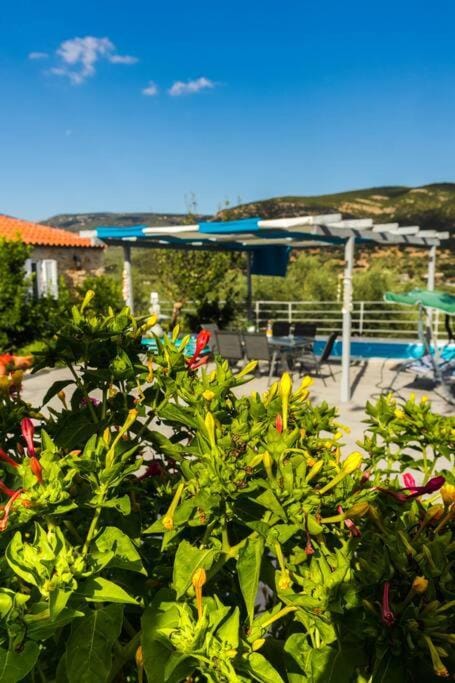 Mountain view, Swimming pool