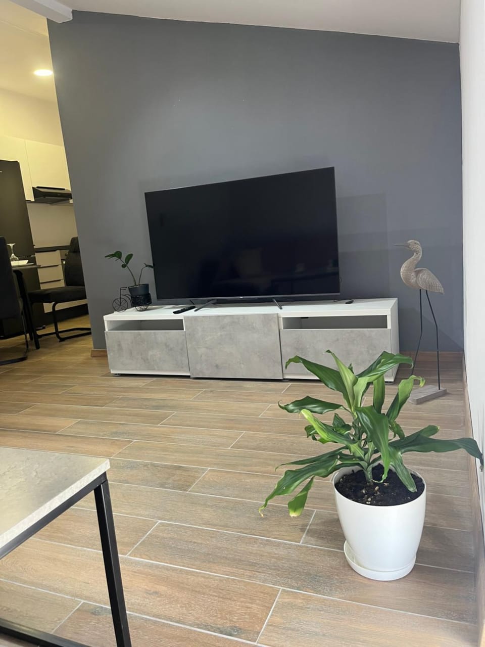 Communal lounge/ TV room, TV and multimedia
